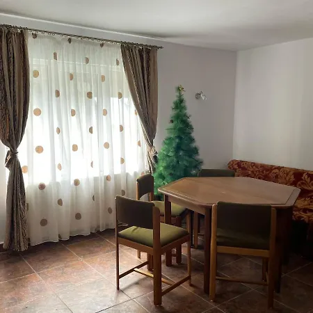 Guest house Pensiunea Pe Drumuri De Munte Borca