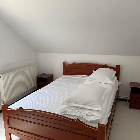 Guest house Pensiunea Pe Drumuri De Munte