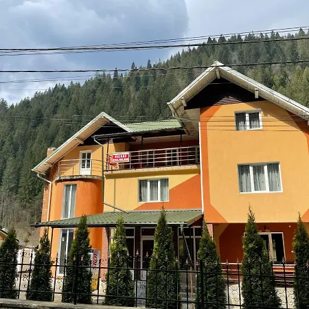 Guest house Pensiunea Pe Drumuri De Munte Borca